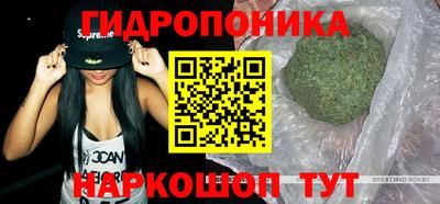 шишки Малгобек